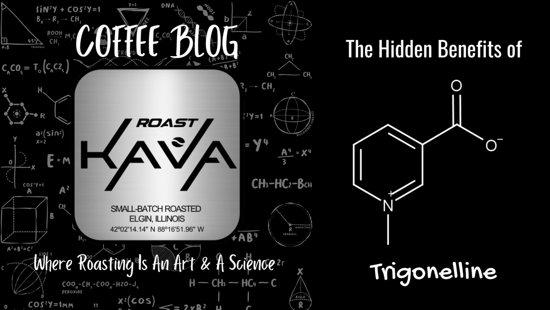 Roast Kava Chemistry:  the Hidden Benefits of Trigonelline
