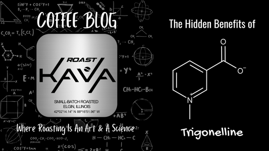 Roast Kava Chemistry:  the Hidden Benefits of Trigonelline